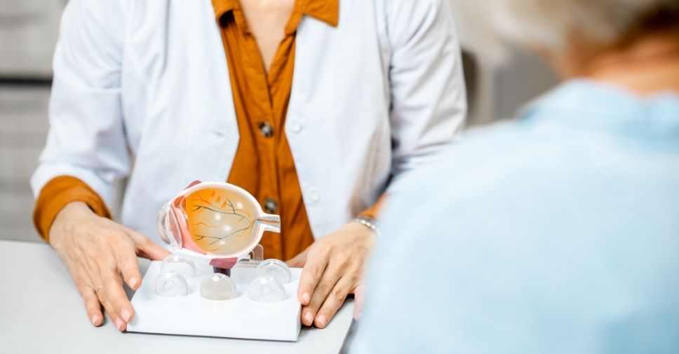 Médica utiliza modelo anatômico do olho para explicar os sinais de alerta do glaucoma.